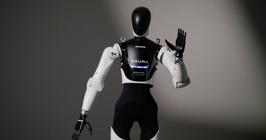 Neura Robotics - 4NE-1